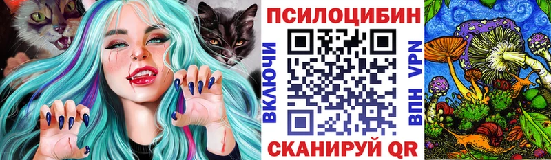 что такое Бобров Псилоцибиновые грибы Psilocybe